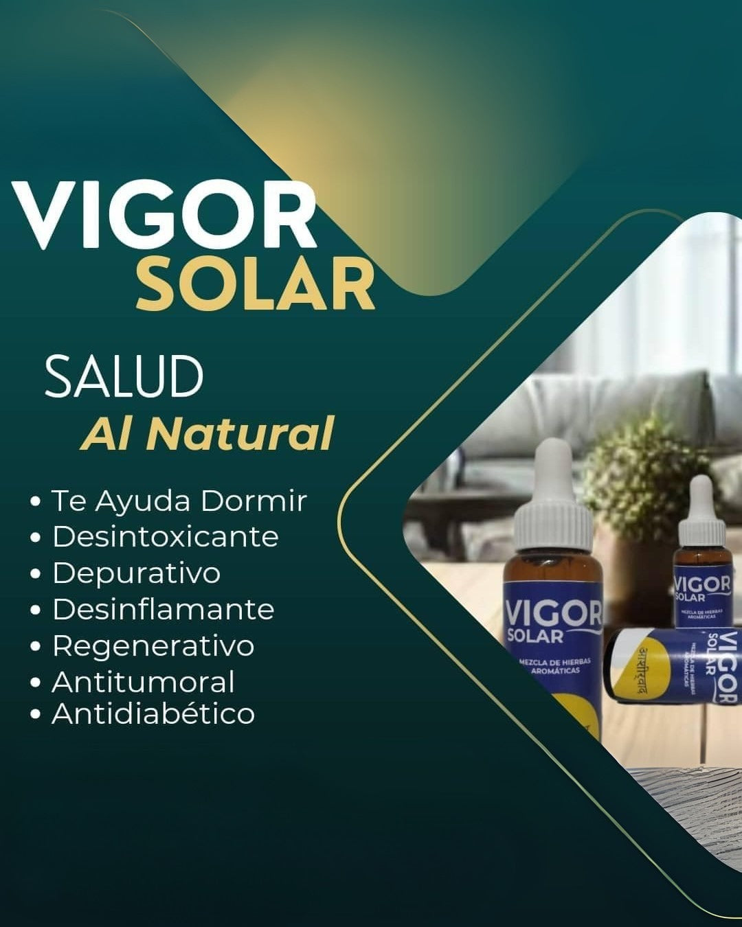 Vigor Solar